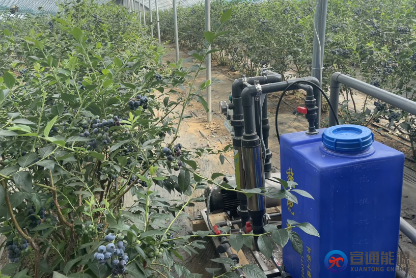 日光温室水肥一体化施工方案,6大核心环节与20个落地细节
