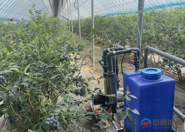 100亩地装水肥一体化管需要多少钱？成本拆解与省钱攻略